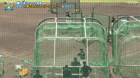 清宮幸太郎さん 柵越え連発wwwwwwww ファイターズ王国 日ハムまとめブログ 清宮幸太郎さん 柵越え連発wwwwwwww ファイターズ王国 日ハムまとめブログ