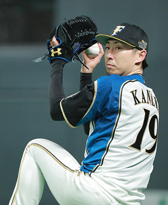 d_photo_c-kaneko