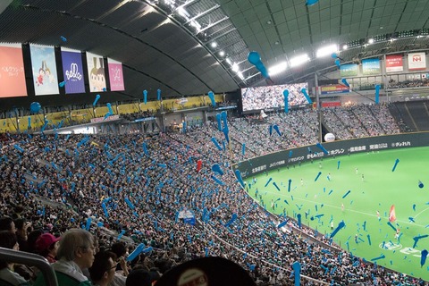 プロ野球応援団 もしかして俺たちいらないの ファイターズ王国 日ハムまとめブログ プロ野球応援団 もしかして俺たちいらないの ファイターズ王国 日ハムまとめブログ