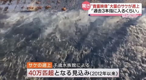 3C96B17D-D34F-42D8-AA50-C75ADB136361