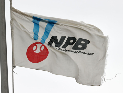 20230706-37060631-nksports-000-4-view
