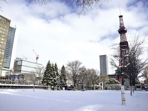 image_search_kikan5