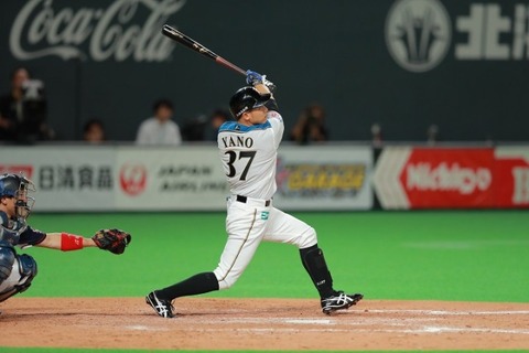 m_baseballonline-015-20180212-01