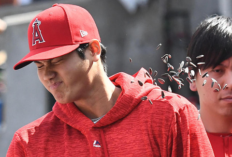 201806010000094-nsogp_0