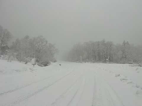 スクリーンショット (1177)