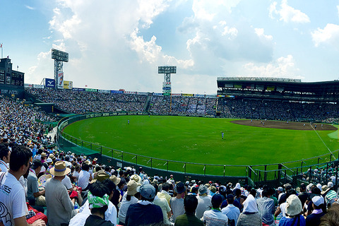 20190818-00505982-fullcount-000-6-view