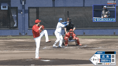 D7B34131-18FF-4E8D-A0D5-DA55515A7A62