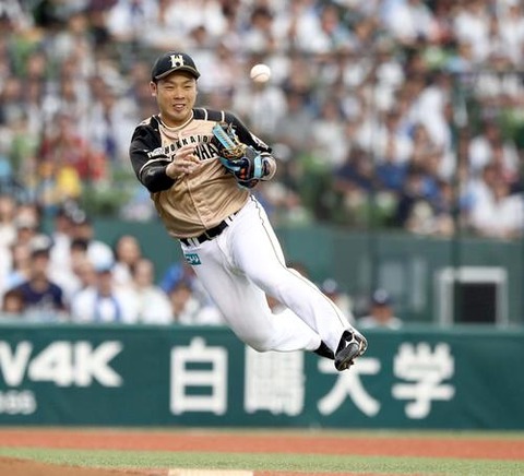 201905260001174-w500_1
