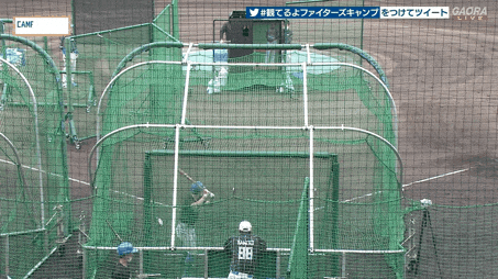 F8AB0803-744C-4C4B-B575-89ED9081DCDA