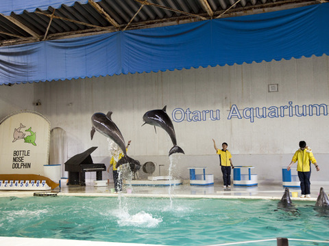 k00235.01
