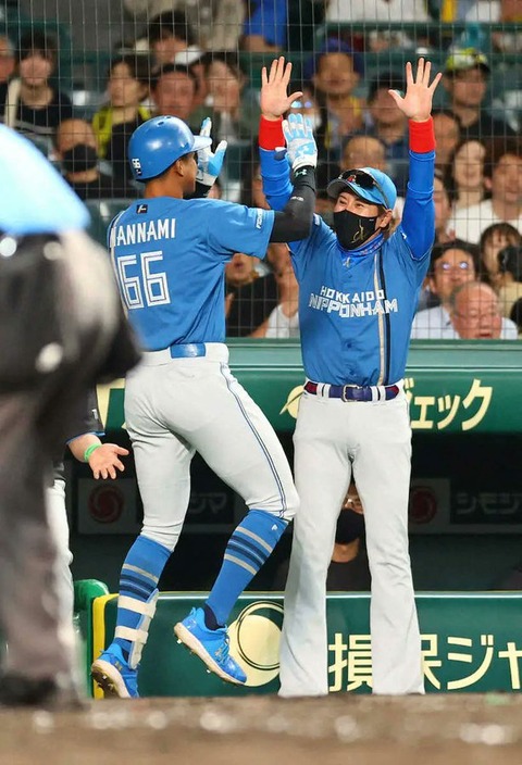 lDJMBaJi