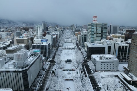 524A0898-730x487