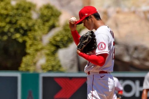 20200803_ohtani5_ap-560x373