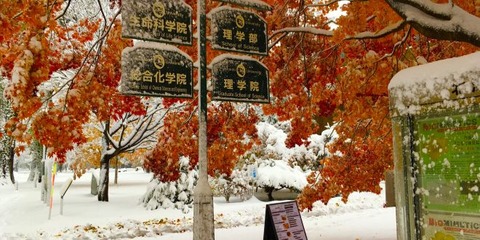 06110231-660x330