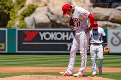 20200803_ohtani3_ap-560x373