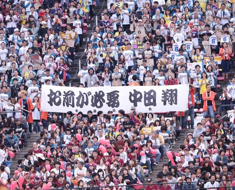 20D1DB2A-7DA5-480D-9165-A8F84D6493B0