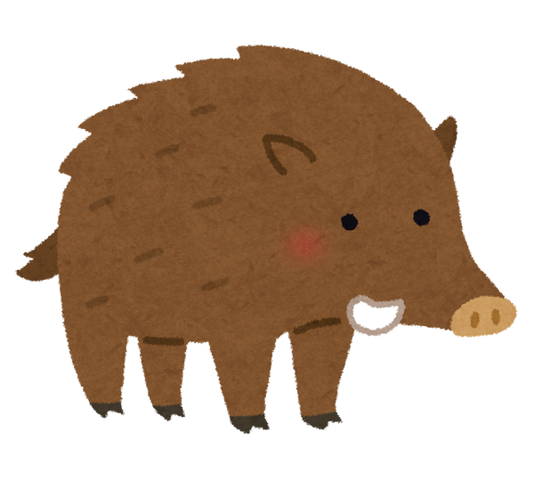 animal_inoshishi