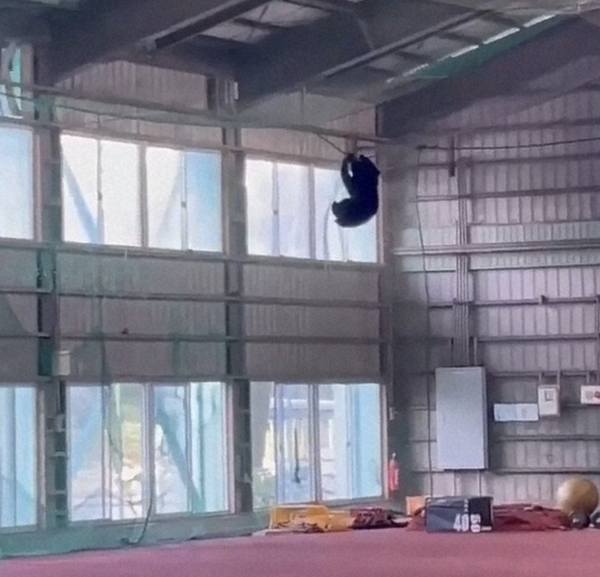 スクリーンショット 2025-10-30 1.35.23