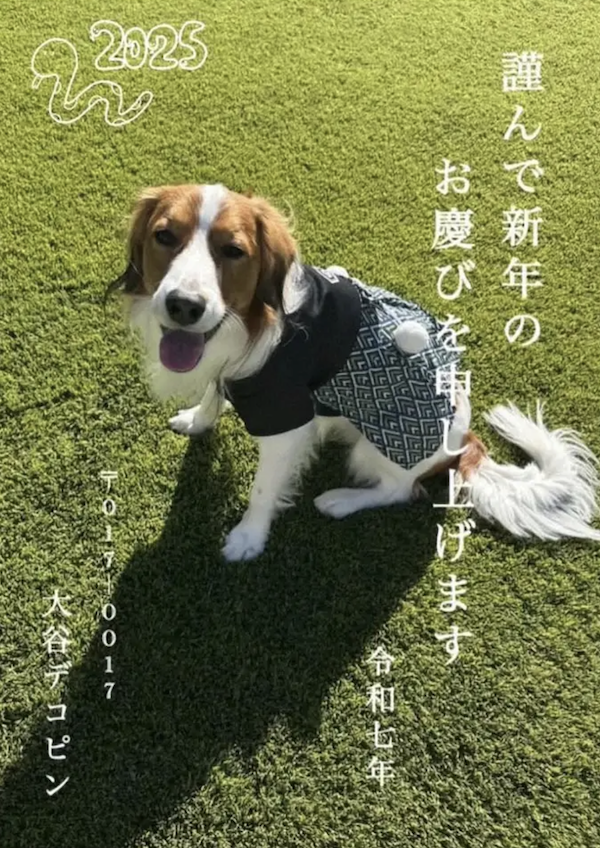 スクリーンショット 2025-01-02 19.54.23