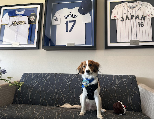 スクリーンショット 2024-03-29 10.47.16