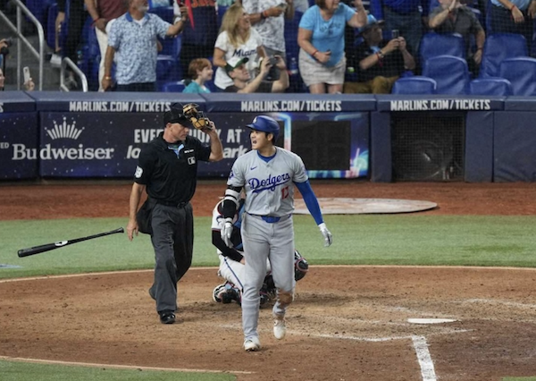 スクリーンショット 2024-10-23 14.17.39