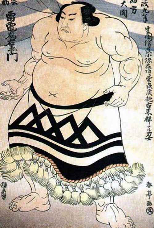 500px-Raiden_Tameimon