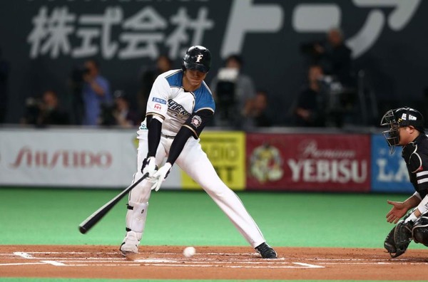 bb_otani01m_161015-ogp_0