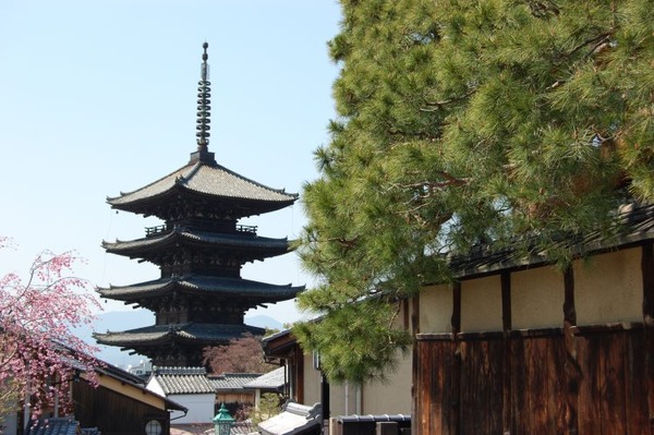 もうプロ球団誘致出来そうな都市って京都ぐらいだよな