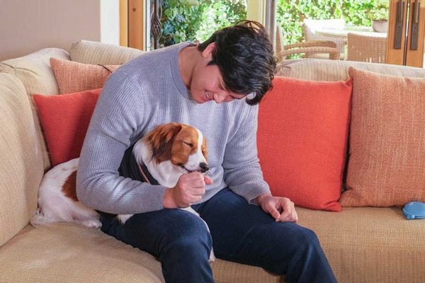 大谷翔平ってなんで犬飼い始めたん？？？