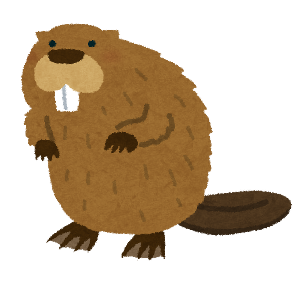 animal_beaver