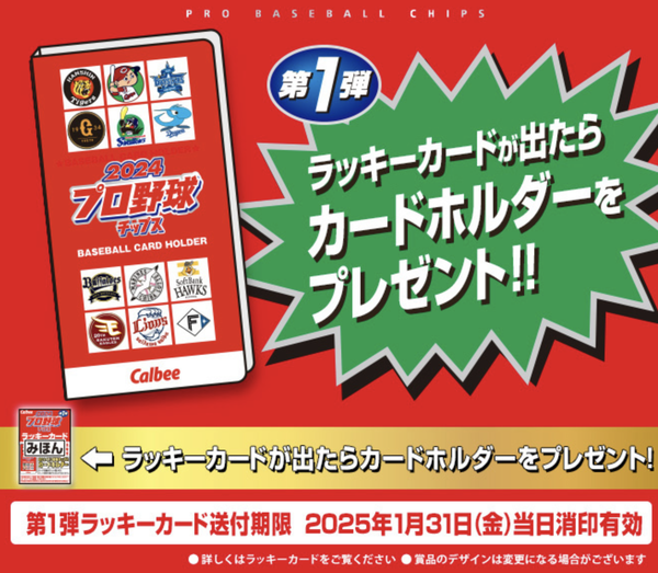 スクリーンショット 2024-06-11 8.16.11