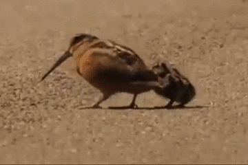 タイトルなし