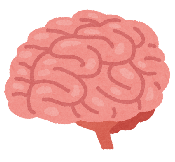 人間の脳「容量は1PB（1000テラ）あります」←これ