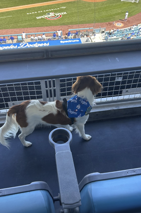 スクリーンショット 2024-03-29 10.49.23