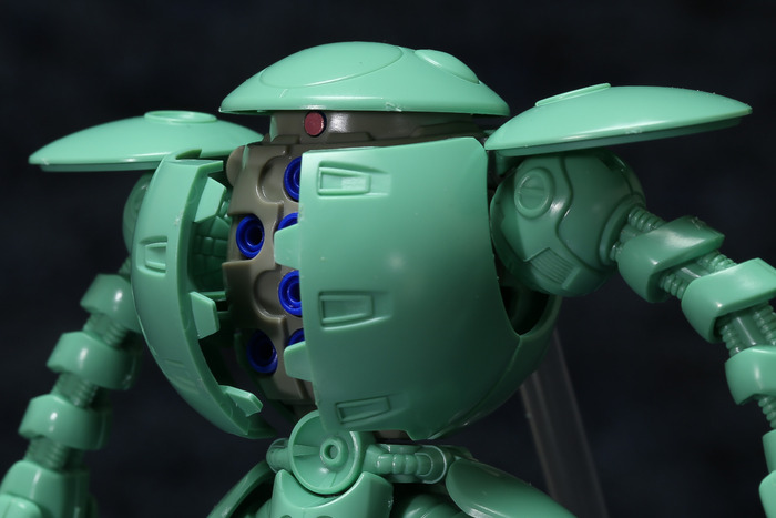 kapool-9