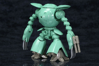 kapool-8