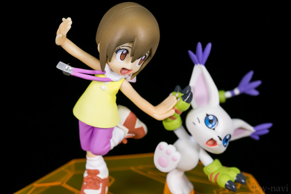 hikari-38