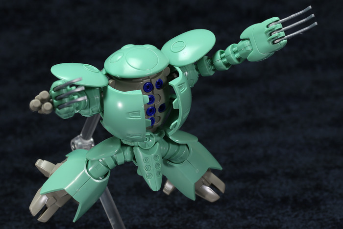 kapool-30