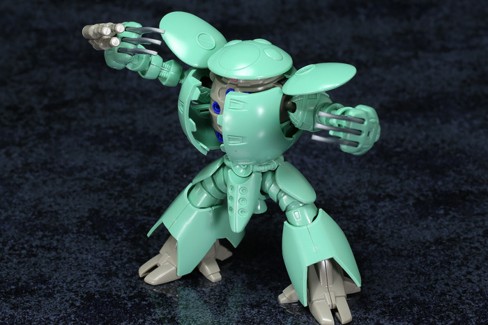 kapool-23