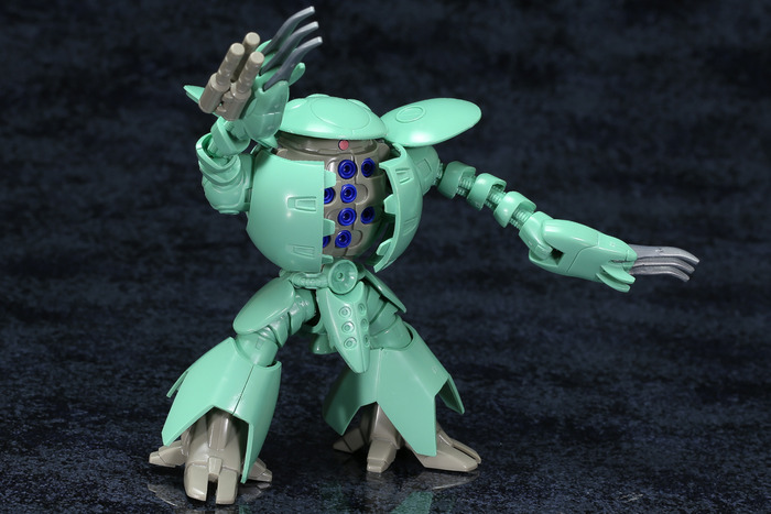 kapool-22