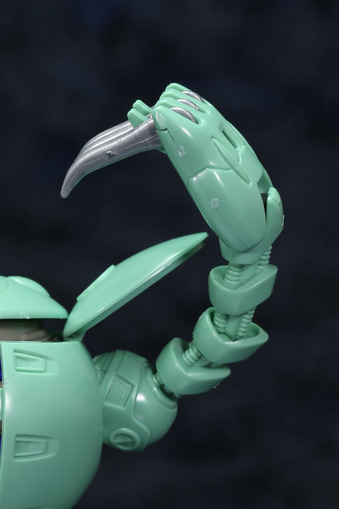 kapool-12