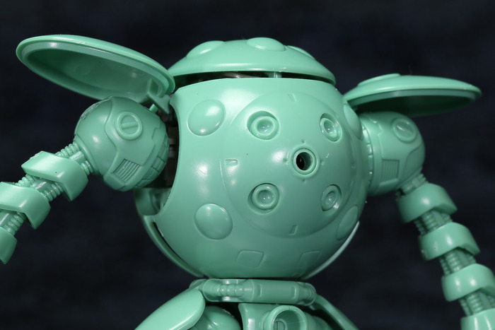 kapool-17