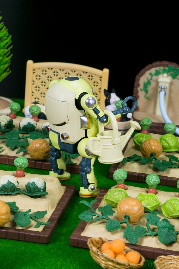 mekatorowhi-go-26