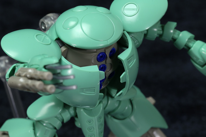kapool-28
