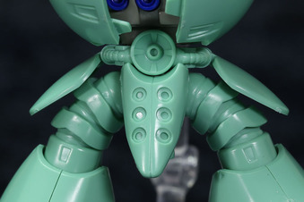 kapool-10