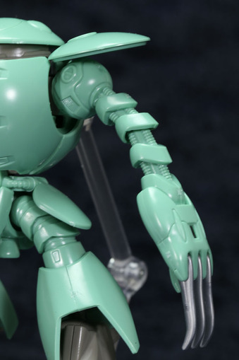 kapool-11