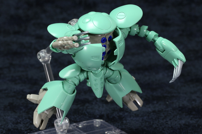 kapool-27