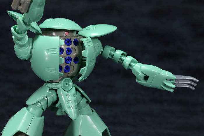 kapool-21
