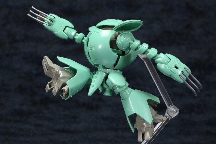 kapool-26