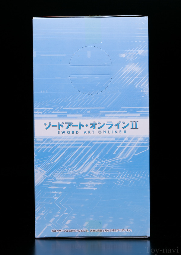 asuna-sega-5